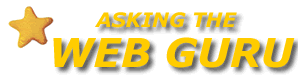 Asking The Web Guru marketing professional logo